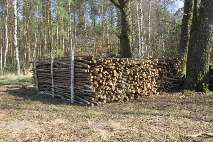 Stos&#x20;drobnicy&#x20;gałęziowej&#x20;&#x28;tzw&#x2e;&#x20;gałęziówka&#x29;&#x20;pozyskana&#x20;kosztem&#x20;nabywcy&#x20;&#x28;fot&#x2e;&#x20;Ł&#x2e;&#x20;Galimski&#x29;